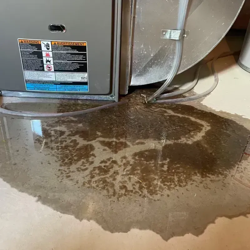 Appliance Leak Cleanup in Mandan, ND